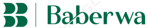 Baberwa Auditors